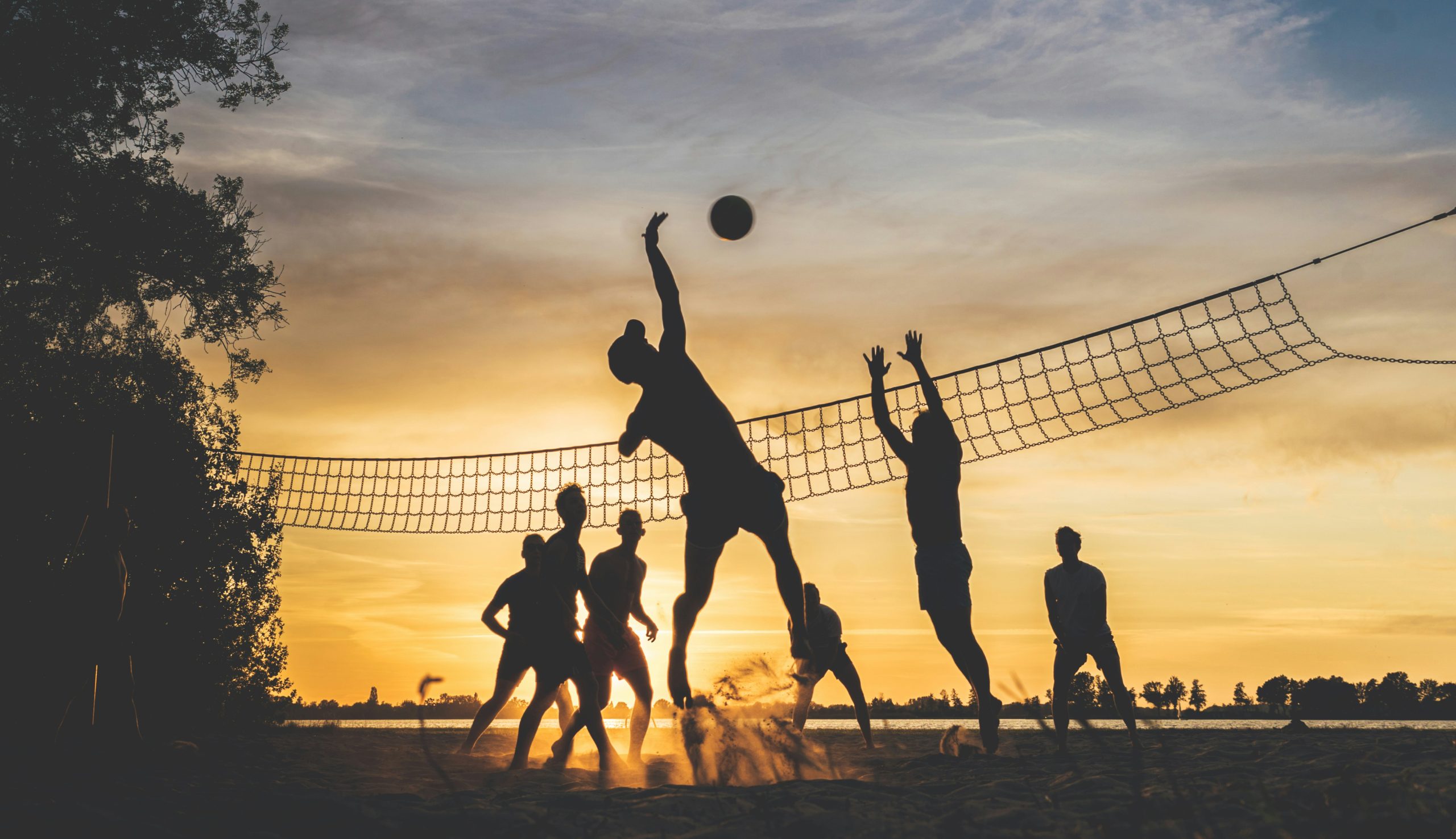 Rutinas de Ejercicio para Principiantes: Deja que el Deporte sea Divertido
